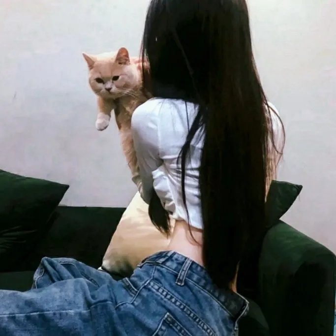 神捕十三娘